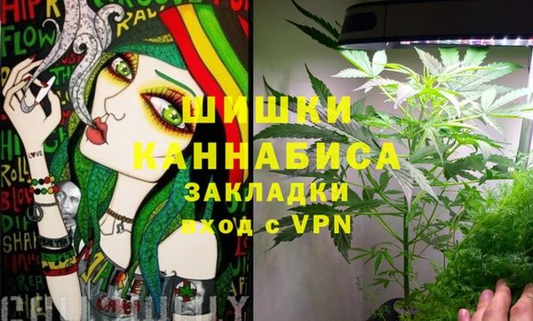 МДПВ Алексин